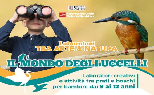 Eventi Ottobre & Novembre Palude Brabbia